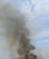 ��ͷɳ̲�Ż���