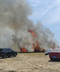 ��ͷɳ̲�Ż���