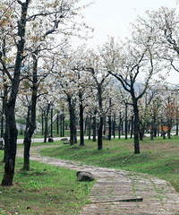 ���������滨���Ұ������