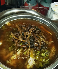 �������ʲô��·����ʦ����ɫ��ݵ�����������ɫ