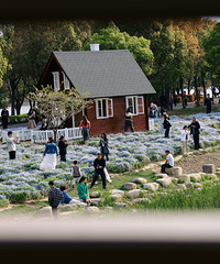 �������򿨵�Сľ��