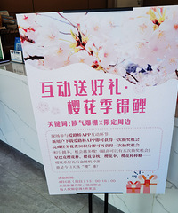 ·�Ŵ������ӣΪ�Ķ�