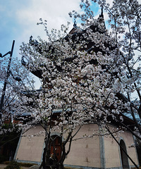 ��ֹˮ��̤��Ѱ��ֽ������м�