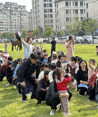 ���������8���ص�ؿ顢343Ķ��ƺ������������