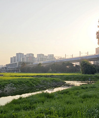 ���������8���ص�ؿ顢343Ķ��ƺ������������