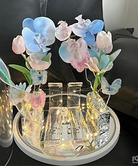 �����Ҿ��޵Ļ�Ь��