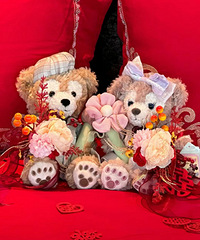 ���õõ��ѹ������