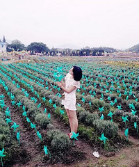 95��Ů�����������߳��࣬�Ը������������к�