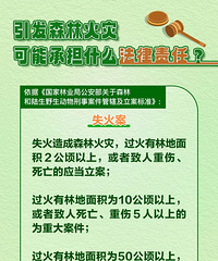 ̨��һ���������̵�����ɭ�ֻ��飬����ȡ����ǿ�ƴ�ʩ��