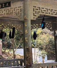 ̫��������