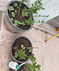 �������ˮ������ηֱ���٣�