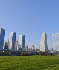 �����������ң�343Ķ��ƺ������һƬ����