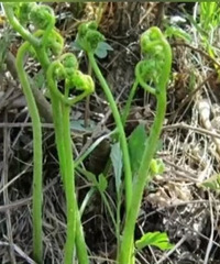 �и��η�ͷ����ˮ�ȱ��������ҽ�����ѣ�����治�ܰΣ�