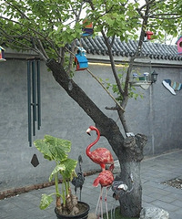 �����Ķ���14�ꡰũ��Ժ��