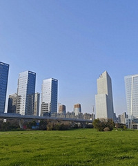 ��������ң�343Ķ��ƺ������һƬ����