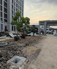 ��ʼ�����ˣ�������Һã��ͺ���