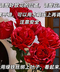 ��õ��̳����������ֳ�Ч����