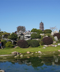 �������ϣ���������ϵ�����֮��