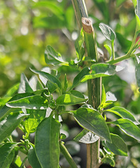 ����������������