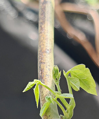 ����������������