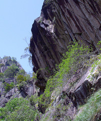 ��̨ɽ�˴�֮��֮��Դ����