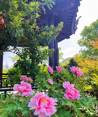 �������죡��������̨������Ҫ����