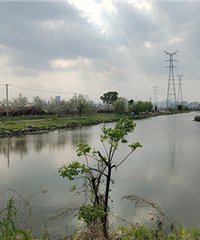 ����ȥ̤��֮��ӳ´�