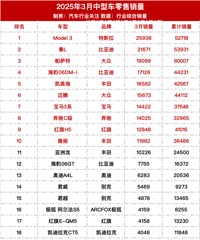 2025��3�������������¯