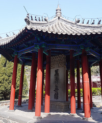 ����ǰ��������