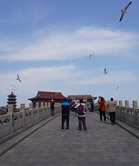 ̽�ذ��ɹ�����������ɫ���ˡ�����ȴ���ź�