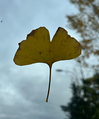 ��н�ײ���ǮΪʲô��ô���أ�