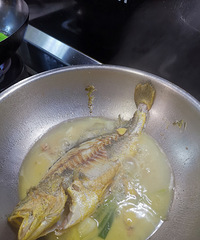 �������ʲô������Ϻ����ô�����11ֻ46Ԫ