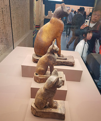 �Ϻ��в���ݰ�������ż�չ��