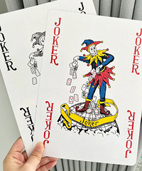 �������˿��ƽ���