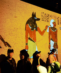 �Ϻ��в���ݰ�������ż�չ��