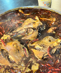 ��2025�μǡ����ף���������·С��ҹ�У�