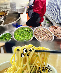 �������ʲô������������������ţ����������������з�����