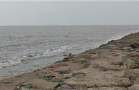 ����100����Ϻ�