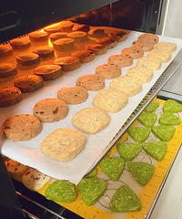 ��������̻�һ�ν���5����ζ������