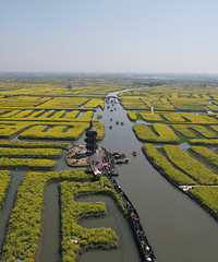 ��³�мǣ�����ǧ���Ͳ˻��Ľ�ɫ����