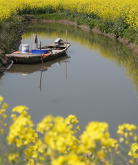 ��³�мǣ�����ǧ���Ͳ˻��Ľ�ɫ����