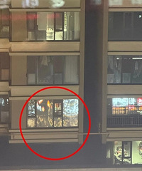 ������Ĥ������