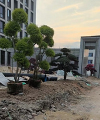 ��ʼ�����ˣ�������Һã��ͺ���