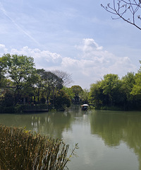 35��176����������λ�ϰ࣬������Ů�����Լ���һ����