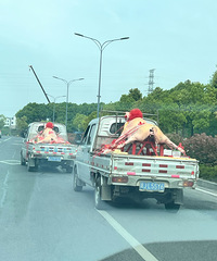 �����Ǹ�������