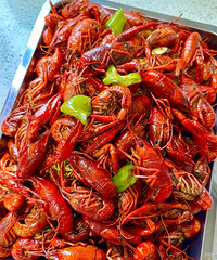 ̨�ݽ������Ϻ�ù�99��4���Բ�����