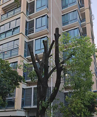 �������ˣ�����ĳС�����̻��˶���ʼ��