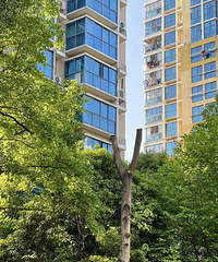 �������ˣ�����ĳС�����̻��˶���ʼ��