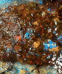 �����������У���Щ��λ��ñ��