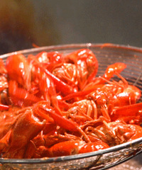 �����������У���Щ��λ��ñ��